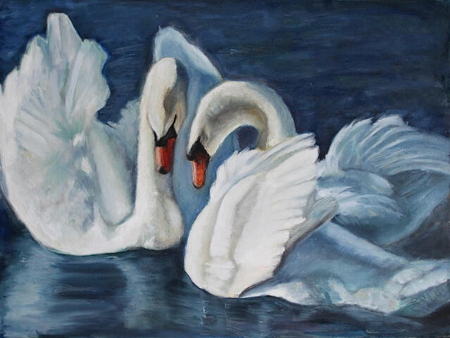 Swans'26